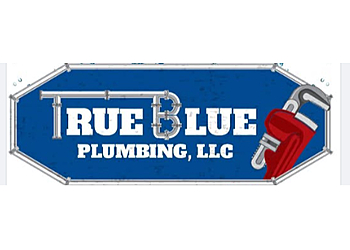 Kansas City Plumbers True Blue Plumbing LLC 
