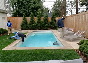 Lexington Pool Services True Blue Pools LLC.