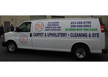 Kent carpet cleaner True Clean