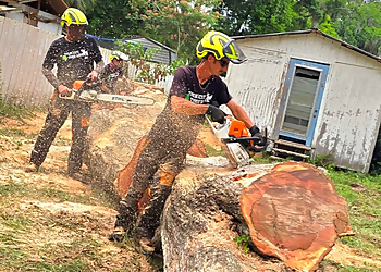 Gainesville Tree Services True Cut Tree Service, Inc.