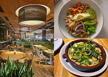 Plano Vegetarian Restaurants True Food Kitchen