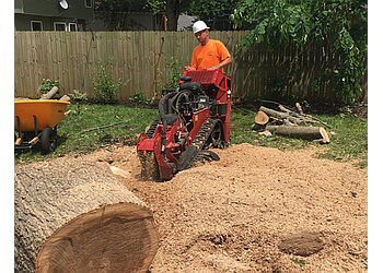 3 Best Tree Services In Springfield Mo Expert Recommendations