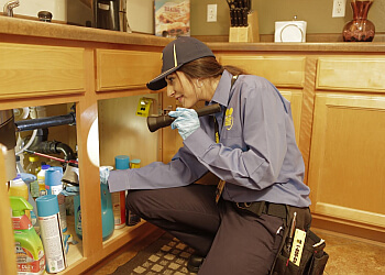 Truly Nolen Pest & Termite Control - Orange, CA Pest Control Companies - Job Site Image
