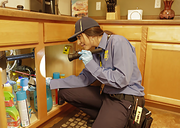 Pompano Beach Pest Control Companies Truly Nolen Pest & Termite Control