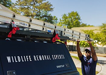 Chicago Animal Removal Trutech Wildlife Service