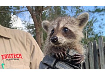 Chicago Animal Removal Trutech Wildlife Service