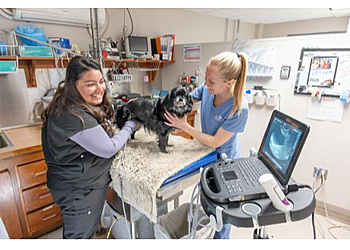 Worcester Veterinary Clinics Tufts at Tech Community Veterinary Clinic