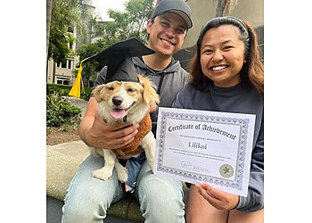 Los Angeles Dog Training Tully's Training