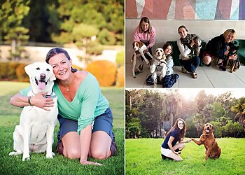 Los Angeles Dog Training Tully's Training