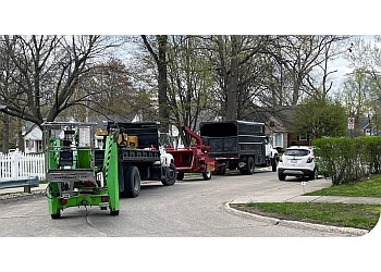 Turbo Tree Care Sterling Heights Tree Services