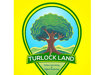 Turlock Land  Modesto Web Designers image 1