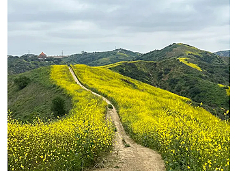 Downey Hiking Trails Turnbull Canyon