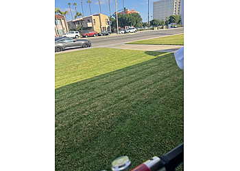 Corona Lawn Care Services Twin Blades Lawn Care