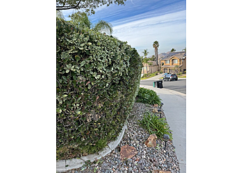 Twin Blades Lawn Care Corona Lawn Care Services image 1