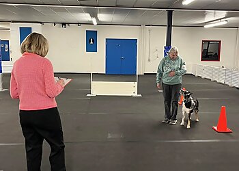 Minneapolis Dog Training Twin Cities Obedience Training Club