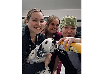 Dayton Veterinary Clinics Twin Maples Veterinary Hospital