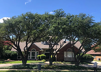 Carrollton Tree Services Twin Oak Solutions