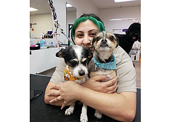Glendale Pet Grooming Twin Tails Cageless Grooming