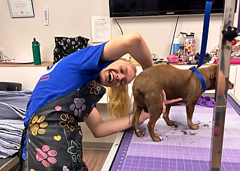 Glendale Pet Grooming Twin Tails Cageless Grooming