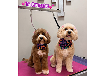 Peoria Pet Grooming Twin Tails Cageless Grooming