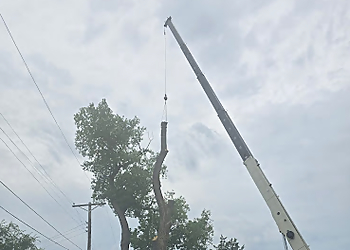 St Paul Tree Services Twins G Tree Service, LLC