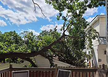 St Paul Tree Services Twins G Tree Service, LLC