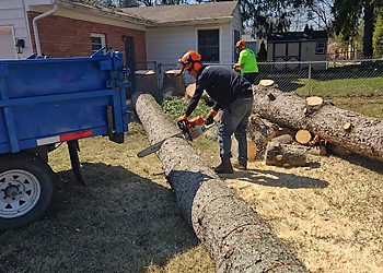 Lansing Tree Services Two Rivers Tree Service
