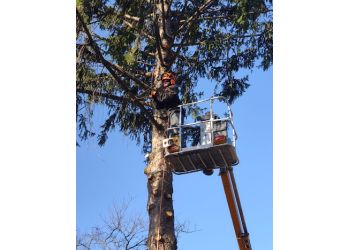 Two Rivers Tree Service