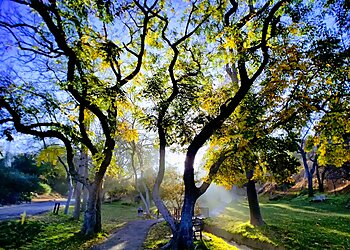 Riverside Places To See UCR Botanic Gardens