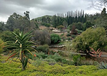 Riverside Places To See UCR Botanic Gardens