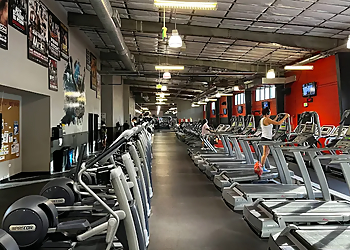 Honolulu Gyms UFC GYM Honolulu