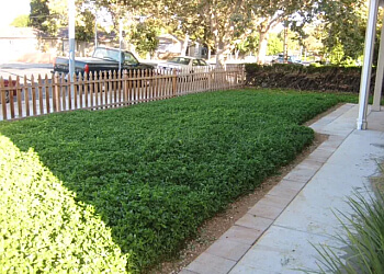 Fremont Junk Removal U Junk It We Dump It