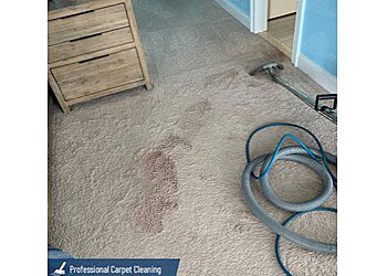 Tampa Carpet Cleaners USA Clean Master