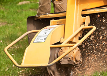 Carrollton Tree Services U.S. Tree Care