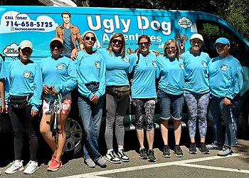 Orange Dog Walkers Ugly Dog Adventures