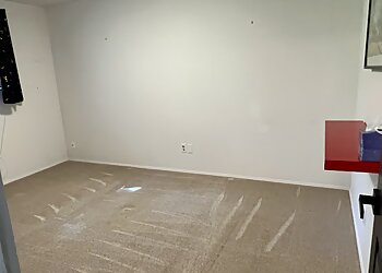 Bellevue House Cleaning Services Ukraine Cleaners