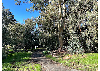 Santa Clara Hiking Trails Ulistac Natural Area