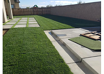 Ultimate Landscape and Tree Service - Fresno, CA Lawn Care Services - Project Image