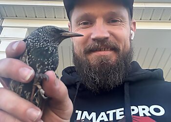 Columbus Animal Removal Ultimate Pro Wildlife Removal