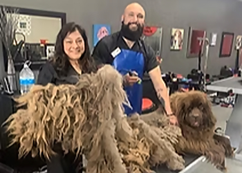 Oxnard Pet Grooming Underdog Pet Stylist