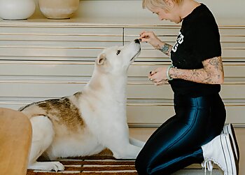 Long Beach Dog Training Underdogs Long Beach LLC