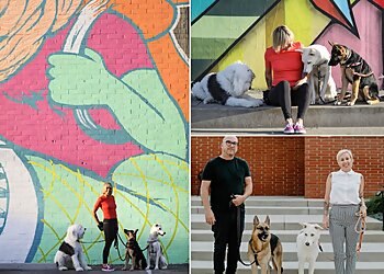 Long Beach Dog Training Underdogs Long Beach LLC