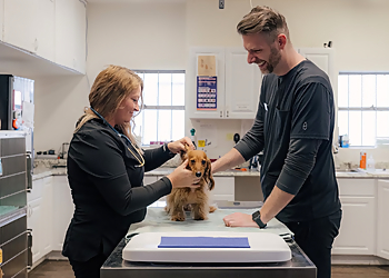 Union Avenue Veterinary Hospital - Tacoma, WA Veterinary Clinics - Medical Procedure Image