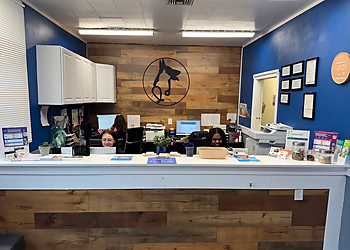 Union Avenue Veterinary Hospital - Tacoma, WA Veterinary Clinics - Clinic Interior Image