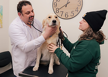 Union Avenue Veterinary Hospital - Tacoma, WA Veterinary Clinics - Doctor With Patient Image