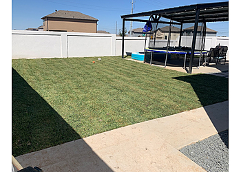 Laredo Lawn Care Services Unique Lawn Care & Landscaping