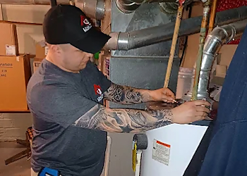 Akron Pest Control Companies Unity Property & Pest
