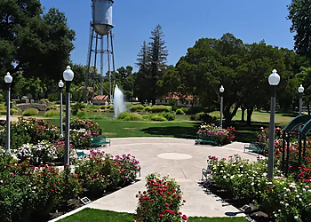 University Park World Peace Rose Garden - Stockton, CA Places To See - Scenic View Image