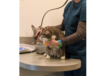 3 Best Veterinary Clinics in Berkeley, CA - Expert ...