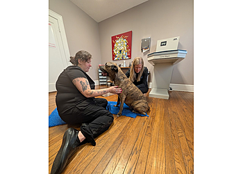 Shreveport Veterinary Clinics University Veterinary Hospital